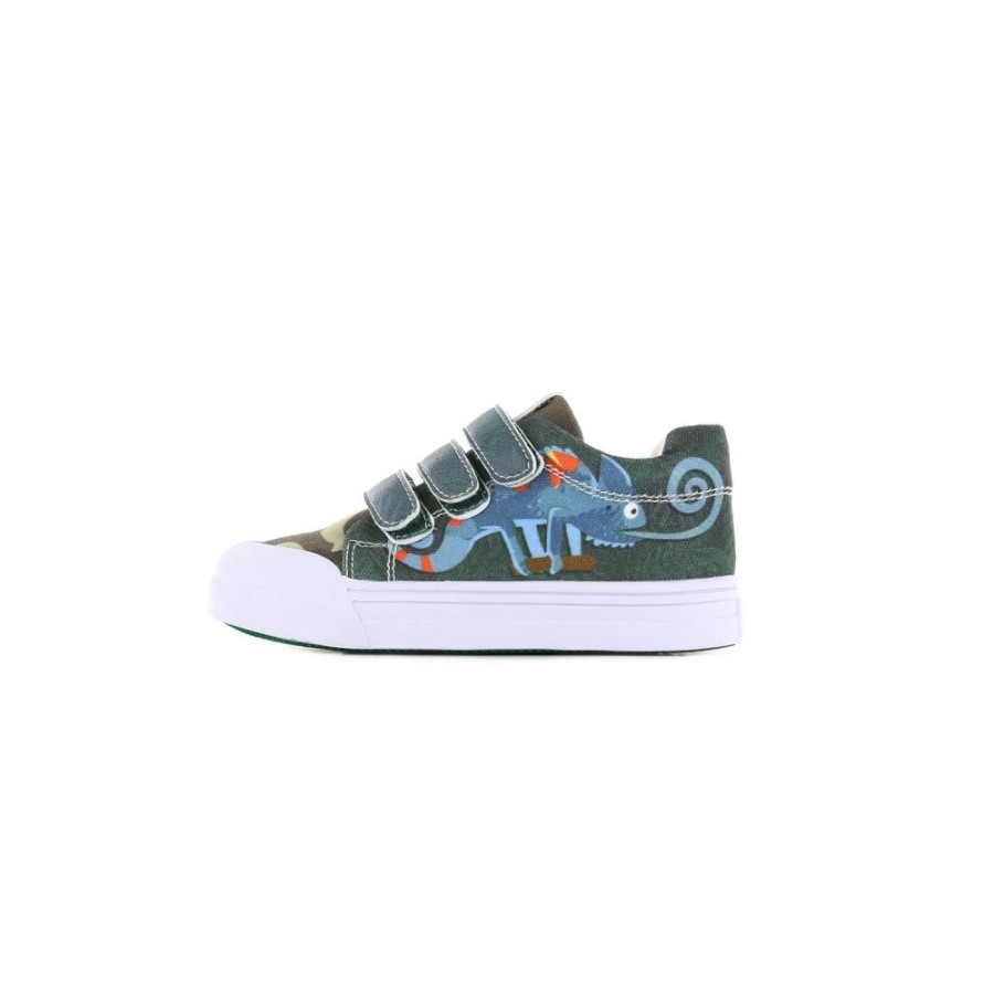 Boys The Children's Shoe Company Canvas | Chameleon Canvas Shoe