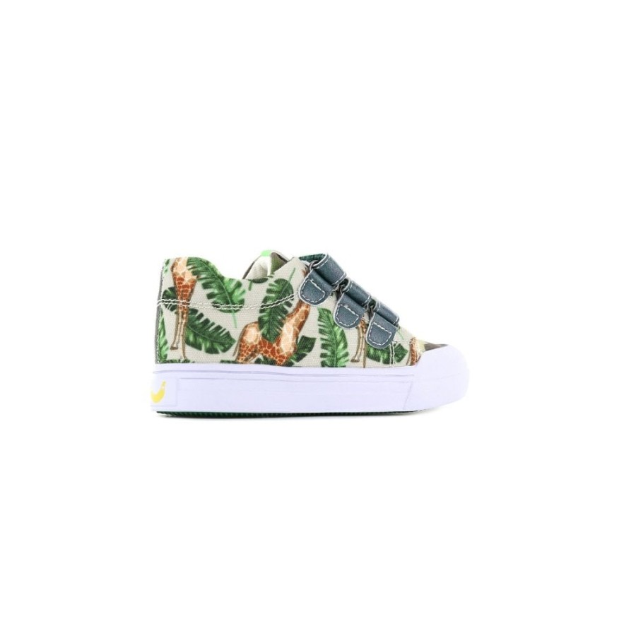 Boys The Children's Shoe Company Canvas | Chameleon Canvas Shoe